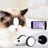 Factory direct sales of new charging puzzle electric toys for cat